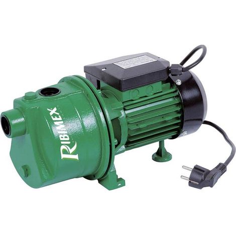Pompe de Surface Jet61 600W - Corps Fonte - Performance Élevée et Fiabilité - D-Work (1/2)