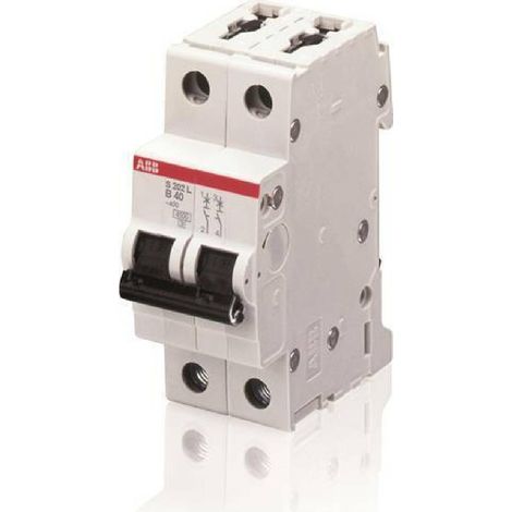 Interruptor Magnetotérmico Abb 2P 10A 4,5kA curva C 2M S598460