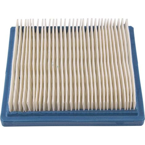 Briggs and stratton 399877S - Cartuccia del filtro dell'aria genuino