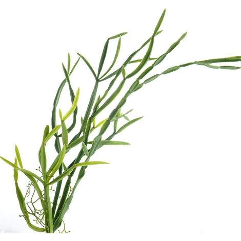 GASPER Kakteen - Rhipsalisranke 63 cm - Kunstblumen