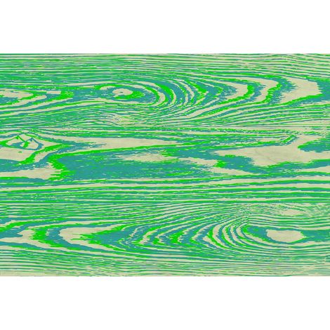 Papier peint panoramique vert, bleu et beige arbre Tapisserie panoramique design salon Papier peint panoramique nature bois essence colorée (1/2)