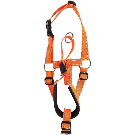 Muselière ajustable pour chien, protège-dents en nylon respirant pour les promenades et l'éducation, orange, taille M, pour empêcher les morsures et les aboiements. (1/4)