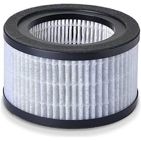 Beurer 68007 LR 220 Ersatz-Filter (1/5)