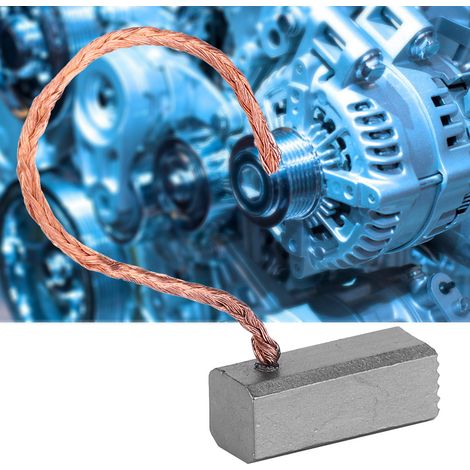 100 Stück J420 Miniatur-Membranpumpenmotor-Kohlebürsten als Ersatzteile, 6 x 6 x 15 mm (1/5)