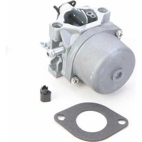Carburateur pour moteur Briggs & Stratton 799728 (1/5)