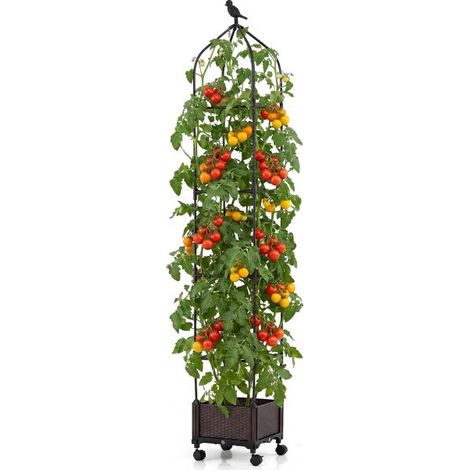 Bac potager surélevé noir avec obélisque treillis jusqu'à 200 cm, bac à planter mobile auto-arrosant pour plantes grimpantes sur balcon et terrasse (1/5)