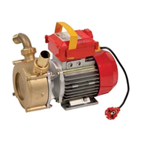 Pompe électrique de vidange mm 50 Rover (1/2)