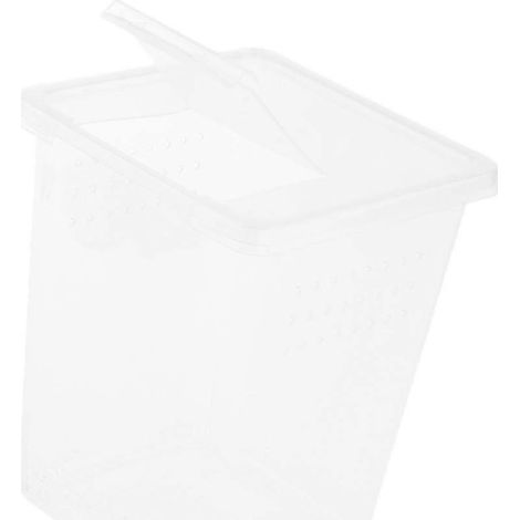 Habitat pour insectes et araignées en plastique, boîte à nourriture, réservoir durable 8x8x11cm