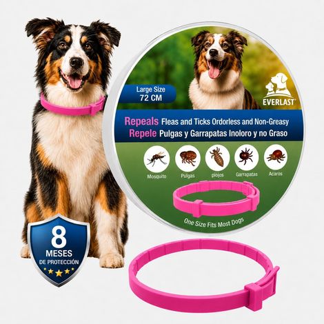 Collier antiparasitaire Chien - 8 Mois de Protection - Contre Les puces, tiques, moustiques, acariens et poux - Collier Vermifuge (1, Rose, 72CM) (1/5)