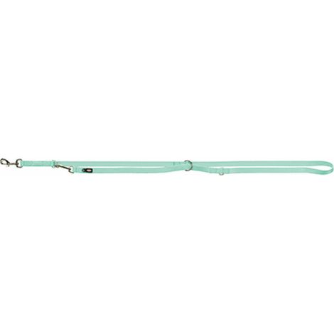 Premium guinzaglio addestramento: M-L: 2m/20mm menta