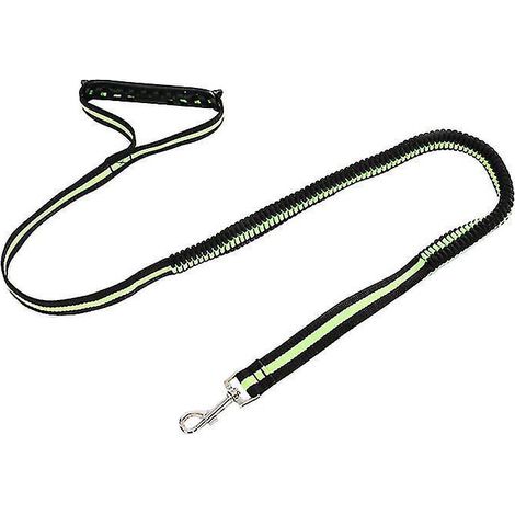 La nouvelle laisse élastique 1 pièce pour chiens (1/3)