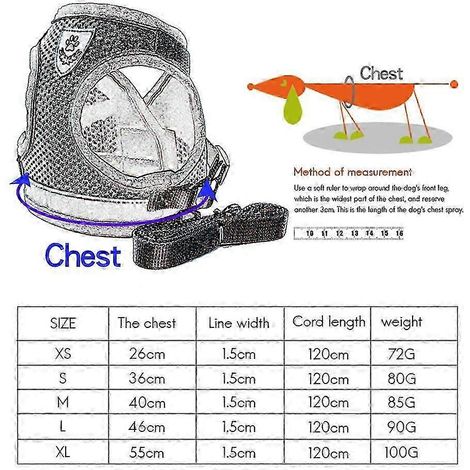 Gilet Réfléchissant pour Chien en Filet Respirant, Harnais Ajustable avec Laisse, Ensemble de Promenade pour Petit et Moyen Chien (1/2)