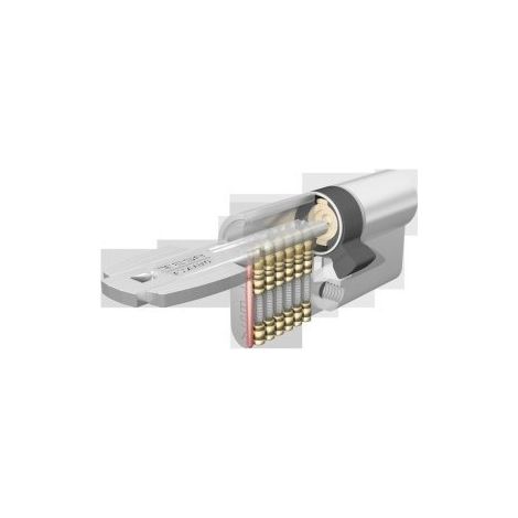 Cilindro Seguridad 30X45Mm T6553045L Laton Leva larga Tesa
