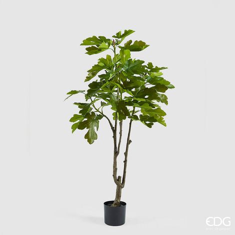 EDG Enzo De Gasperi Fico con Vaso H 150 Cm Pianta Artificiale Verde