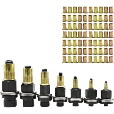 de 77 têtes de rivets et écrous de fixation en acier au (1/4)