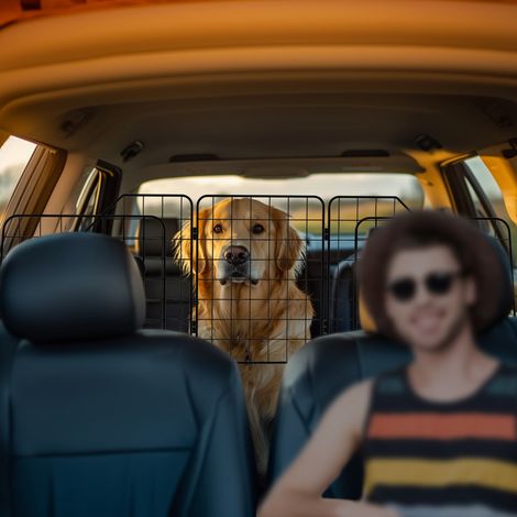 Autosicherheitsbarriere für Hunde mit verstellbarer Breite, faltbarer Auto-Hundeschutz 93-150x42 cm, Schwarz