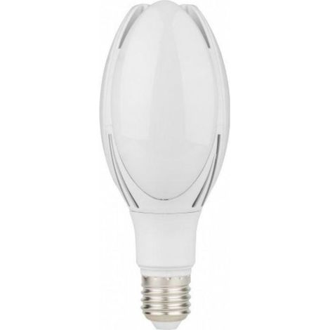 Lampada Led Ellissoled Evo Std 30W 230V E27 3000K