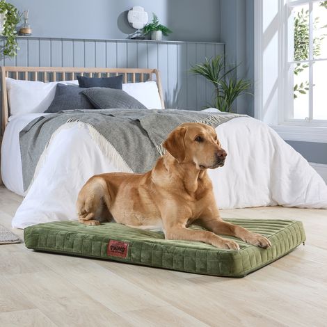 Paws for Slumber Orthopedic Pet Bed, Green, Large