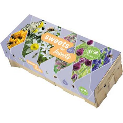 BULBES DE FLEURS POUR INSECTES Multicolore