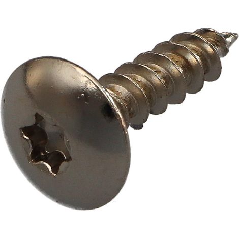 Vis Penture 6X25 Filetage total TORX T30 Acier nickelé-1 pièce
