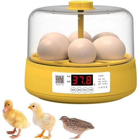 Incubateur d'œufs de poulet à écran numérique LED pour volaille,Incubateur pour œufs,Rotation automatique,Contrôle numérique intelligent de la température,Coffret cadeau pour enfants,6 œufs (1/4)