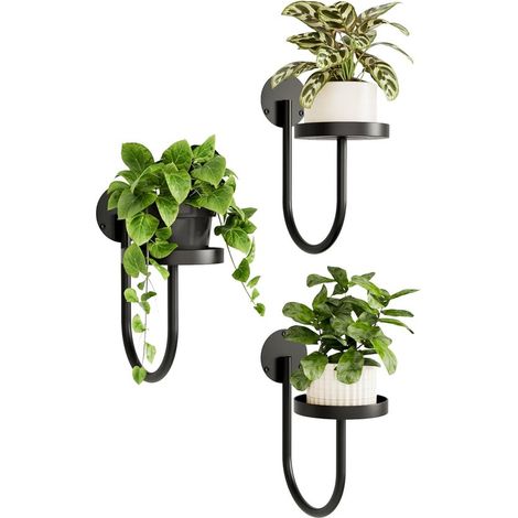 Wandpflanzenständer Hängende Pflanzenregale für Zimmerpflanzen Fensterregal Wanddekoration Schwarz 3 teilig (1/5)