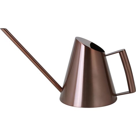 Arrosoir - Acier Inoxydable - Bec Long - Pour Plantes D’intérieur Et Extérieur - 400 ml 900 ml Ou 1500 ml (1/5)