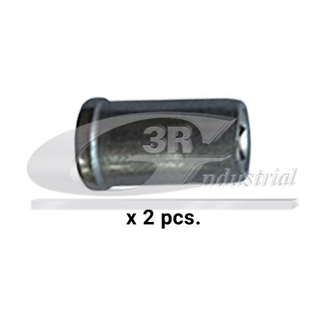 3RG 87208 KIT INYECCION (2PCS)