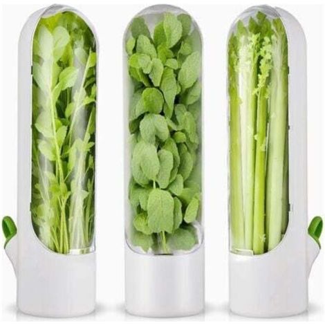 3 pezzi di contenitore per erbe aromatiche per frigorifero, contenitore per erbe aromatiche fresche per frigorifero, contenitore per erbe aromatiche per coriandolo e asparagi (1/4)