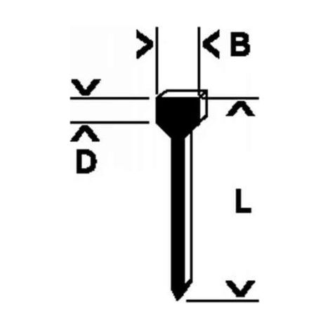 Clous à tête plate 14mm pour agrafeuse Bosch PTK 14 – Acier trempé pour matériaux fins – Lot de 1 000 pièces – 1609200393 (1/4)