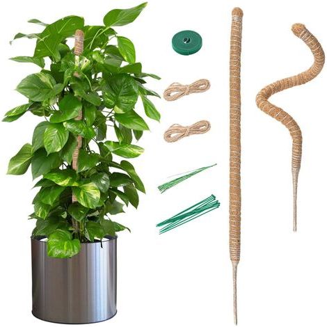 2 - Tuteur Coco - Fibre De Coco - Support Plante Grimpante - Flexible Et Réglable - Intérieur Monstera Pothos - Naturel - 70cm (1/5)