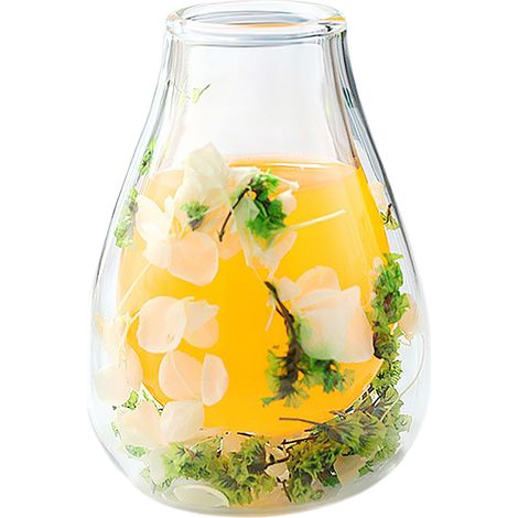 Lot Décoration Maison: Vases Verre Double Paroi Fleurs Séchées, Pichets Eau Froide, Plantes Artificielles Citronnier Eucalyptus, Mangeoires Oiseaux Fer Forgé (1/5)