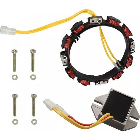 Stator d'alternateur 696458 – Compatible moteurs Briggs & Stratton régulés – Pièce de rechange pour tondeuse (1/3)