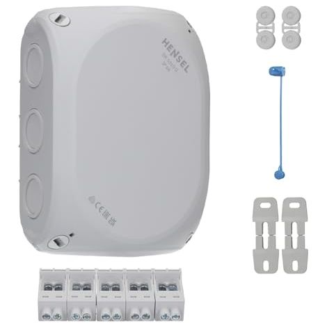 Hensel Buzón dk 1010 g 2,5 – 10qmm – Recipiente, carcasa para montaje en la pared/techo 4012591125037
