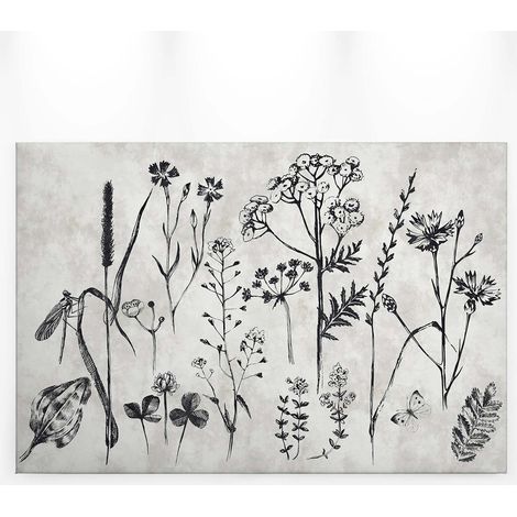 Tableau à fleurs blanc et gris | Tableau fleurs des champs & insecte pour salon | Tableau sur toile chambre adulte & couloir 0,9 x 0,6 m (1/5)