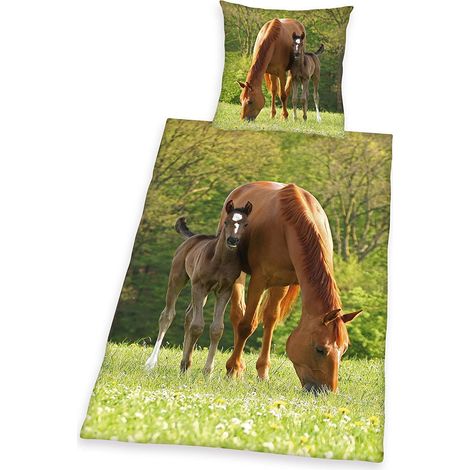 Parure de Lit, Cheval, Housse de Couette 135 x 200 cm, Taie d'Oreiller 80 x 80 cm, Coton/Renforcé Multicolore (1/5)