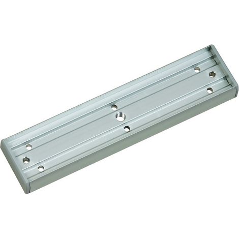 Sewosy – Support de pose contreplaque 300kg – Installation rapide pour ventouses – Pour chantiers humides – EF300SCP (1/2)