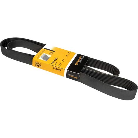 Cinghia multi-nervata Contitech 7 PK 1605 (1/4)
