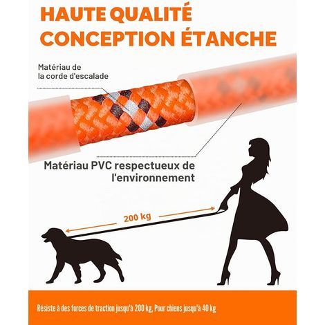 Laisse pour Chien - Imperméable et réfléchissante pour la sécurité - Légère, Solide et Robuste - Laisse d'entraînement avec dragonne - 5m/10m/15m/20m pour Petits, Moyens et Grands Chiens (1/4)