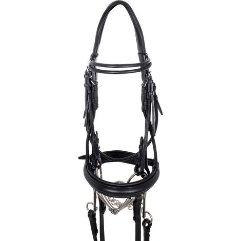 Cob, Nero: Briglia dressage in morbido cuoio con frontalino e riscontri tubolari completa di redini