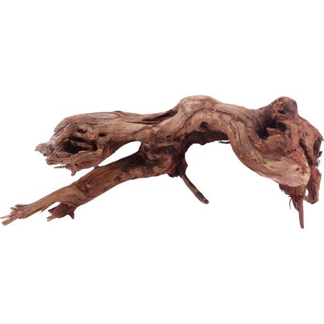 XL Driftwood Flußwurzel Nr.4922 Holz Deko Aquascaping