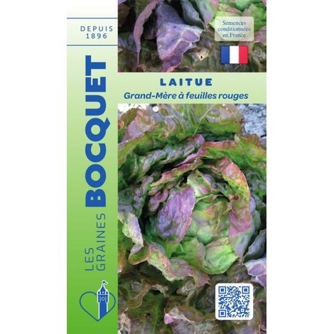 Laitue d'hiver Grand-mère à feuilles rouges - 2g