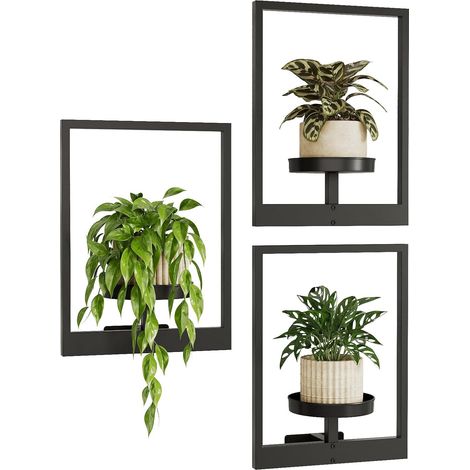 Lot de 3 Pots Muraux – Support Plantes (1/5)