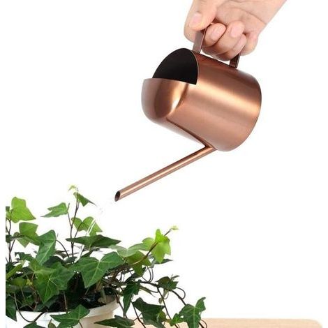 300ml small stainless steel watering can with long spout – perfect for watering plants and home use. (1/5)