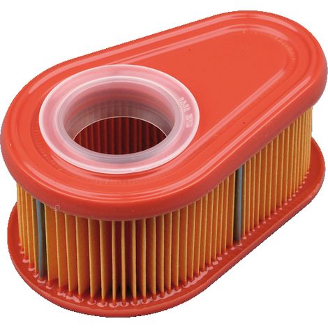 Luftfilter für Rasenmäher kompatibel BRIGGS & STRATTON 3-396 792038 (1/2)