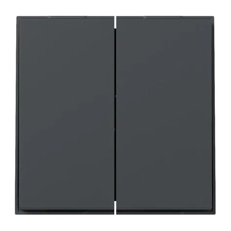 Gira Wippe 2f gerade Gira TX44 Anthrazit [349567], 3495 67
