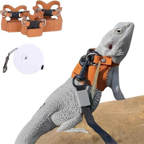 Conjunto de remolque de tres piezas para iguanas de crin: correa pectoral ajustable de cuero suave, cuerda de remolque retráctil, accesorios para arnés de animales pequeños, color marrón. (1/5)