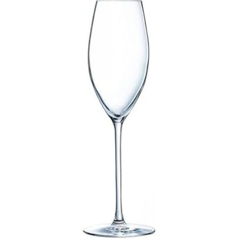 Verre à flûte - - Grand Chais - Lot de 4 - 24 cl - Transparent - Compatible lave-vaisselle (1/2)