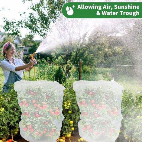 Filet De Protection Plante - 0 7 X 1 M - Anti Insectes Et Oiseaux - Jardin Potager - 1 Piece (1/5)