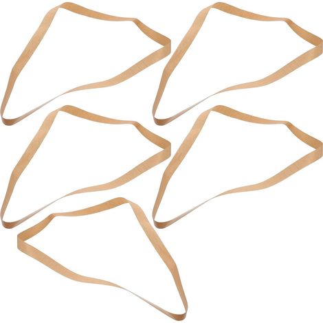Ruban PTFE pour machine de mise sous vide, bande scellage continue 750 x 15 mm, lot 5, isolant